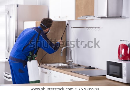 Foto stock: Worker Spraying Insecticide Chemical At Kitchen