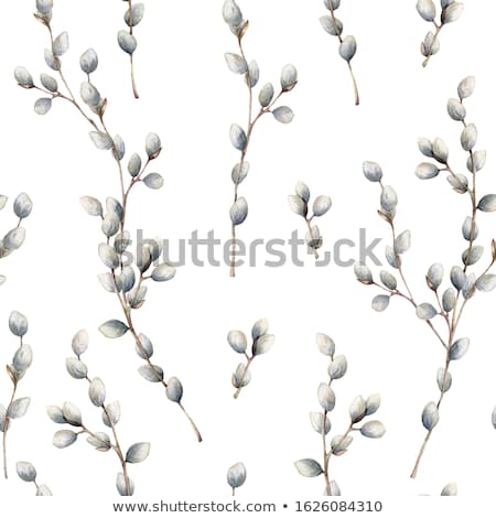 Сток-фото: Easter Background With Pussy Willow