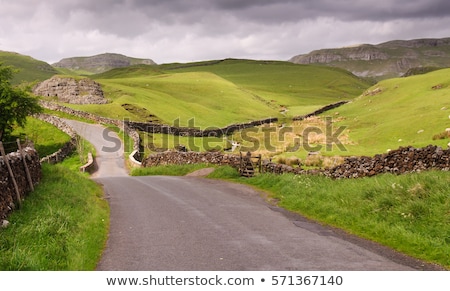 Foto stock: Country Lane