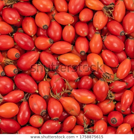 Stok fotoğraf: Rose Hip Close Up