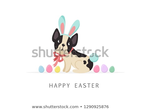 Foto stock: Dog Easter Bunny