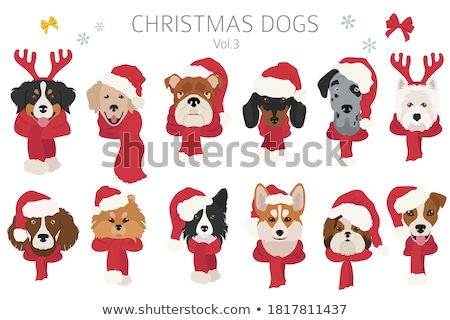 Stock fotó: Santa Claus Dog