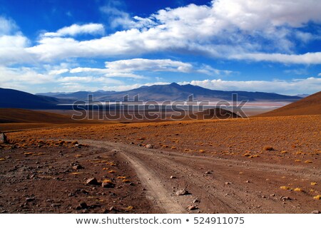 Stok fotoğraf: Off Road Track To Plant