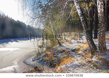 ストックフォト: Small River At Winter