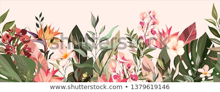 Stok fotoğraf: Tropical Flowers Border Set