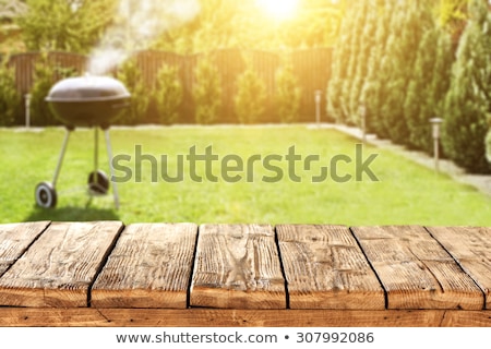 Stockfoto: Summer Grilling On The Nature