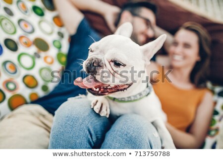 Stock fotó: Funny Couple Of Dogs In Love At The Beach