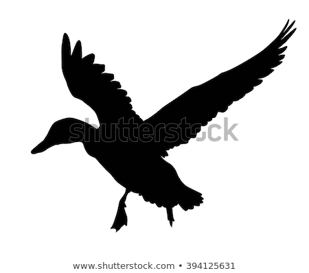Icon Of Flying Duck Silhouette With Target Сток-фото © vadimmmus
