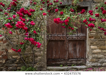 [[stock_photo]]: Old Door In Mombaldone Piedmont