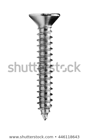 Stock photo: Isolated Screw