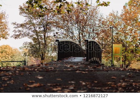 Foto stock: Small Bridge In The Park