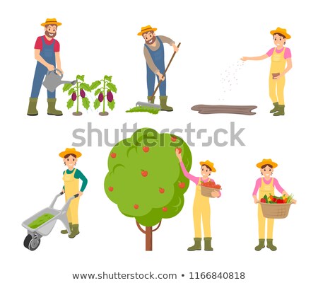 Foto stock: Sowing Woman On Plantation Vector Illustration