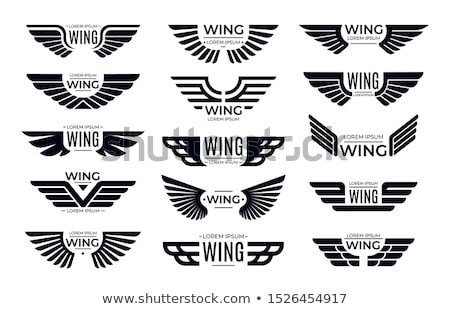 Stok fotoğraf: Aviator Wing Sign Symbol