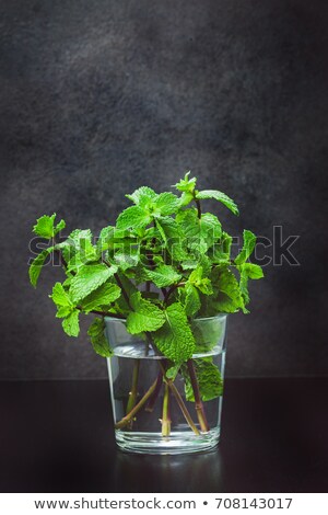 Stockfoto: Glass Of Mojito Summer Alcoholic Cocktail With Ice Cubes Mint And Lime On Black Background