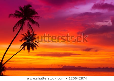 Foto stock: Sunset At Tropical Beach Landscape Thailand