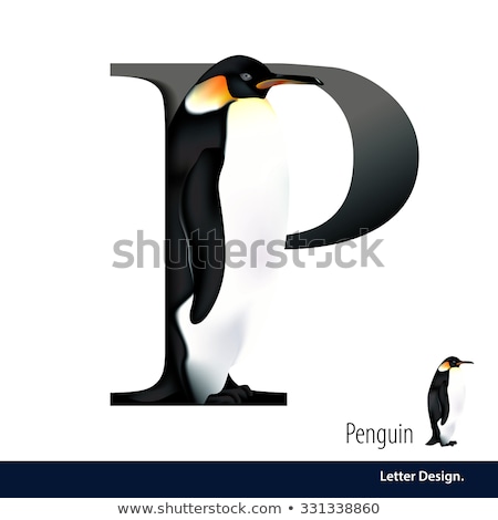 [[stock_photo]]: A Letter P For Penguin