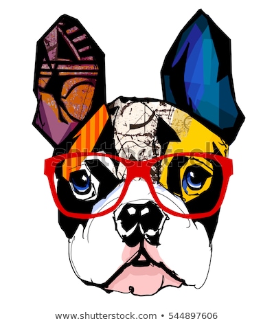 Zdjęcia stock: Portrait Of French Bulldog