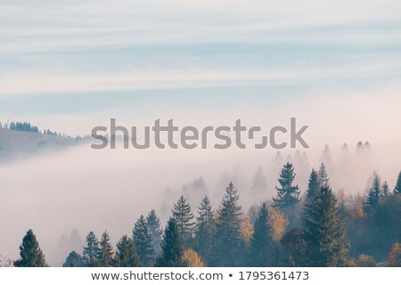 Сток-фото: Fog Above The Mountains On A Cold Autumn Morning