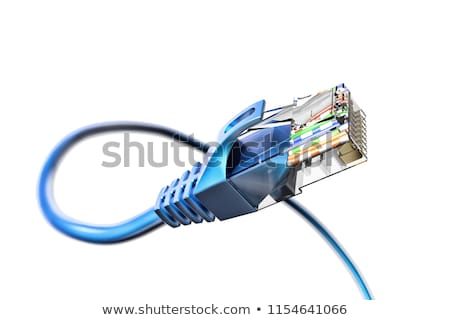 Stock foto: Ethernet Plug