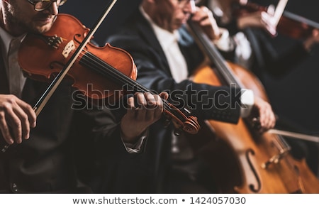 Сток-фото: Violinist