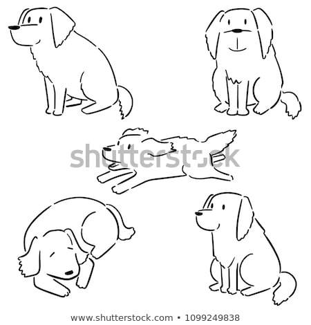 Vector Sketch Funny Golden Retriever Dog Sitting ストックフォト © olllikeballoon