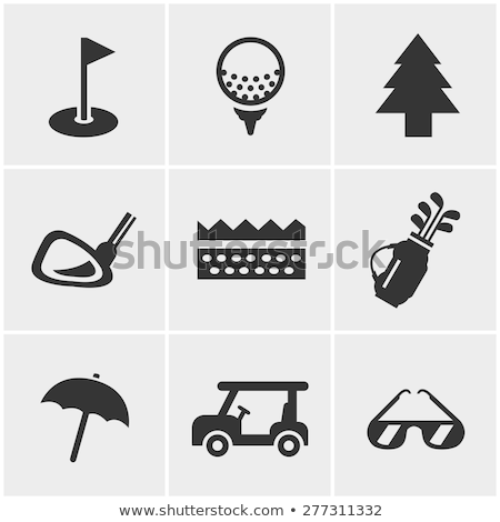 Foto d'archivio: Black Vector Icons For Golf
