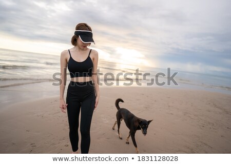 Foto stock: Dog Beach Summer Vacation