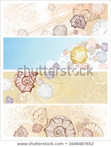 Foto d'archivio: Four Banner With Seashells