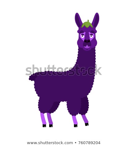 ストックフォト: Lama Alpaca Eggplant Purple Animal Vector Illustration
