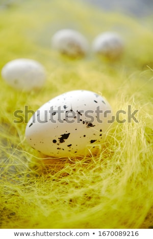 Foto stock: White Easter Eggs With Freckles Placed On The Yellow Hay