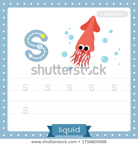 Foto d'archivio: Flashcard Letter S Is For Squid