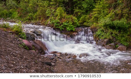 Foto stock: Mountain Stream In Val Di Fassa