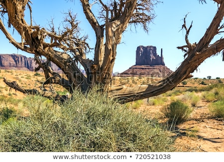 Stockfoto: Totem Pole Butte In Monument Valley