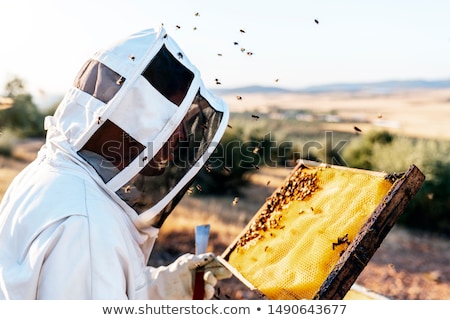 Сток-фото: Beekeeper Working Collect Honey Beekeeping Concept