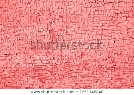 Stockfoto: Living Coral Grunge Rough Texture