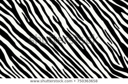 Stockfoto: Illustration Of Zebra