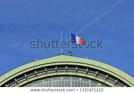 ストックフォト: Grand Palais In Paris Flying French Flag