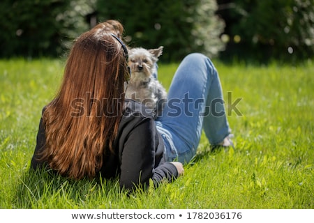 [[stock_photo]]: Brunette Girl With Headphone Lies In The Park