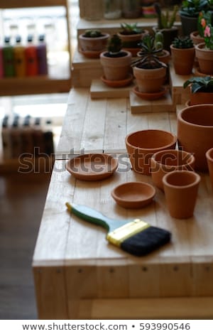 Imagine de stoc: Romantic Idyllic Plant Table In The Garden With Old Retro Flower Pot Pots Tools And Plants