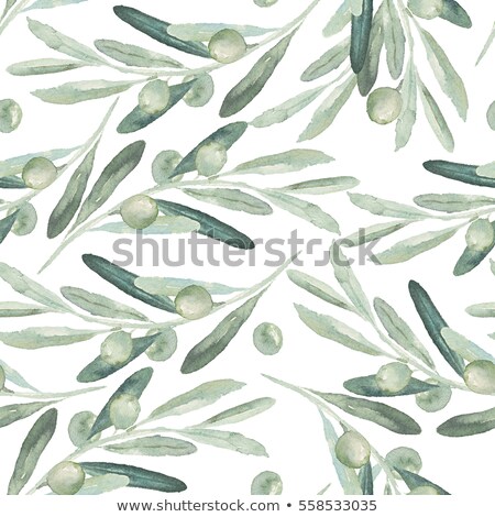 Stockfoto: Watercolor Illustration Olive Branch Seamless Pattern