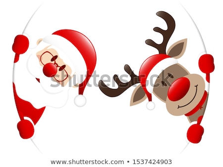 Stock foto: Red Nose Deer