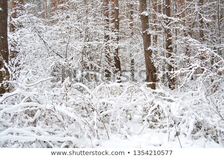 Foto stock: Microscopic Microcrystal Background