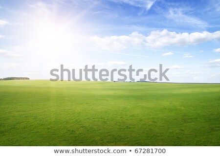 ストックフォト: 午の太陽の下で緑の草の丘