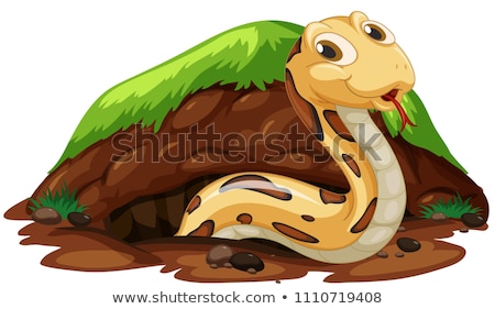 Stock photo: Snakes Living In Underground