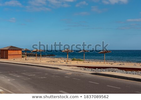 Stockfoto: Manmade Pathway In Nature