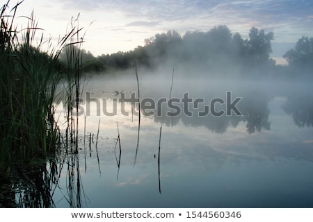Foto stock: Panorama Landscape Of Lake In Mist With Sun Glow At Sunrise