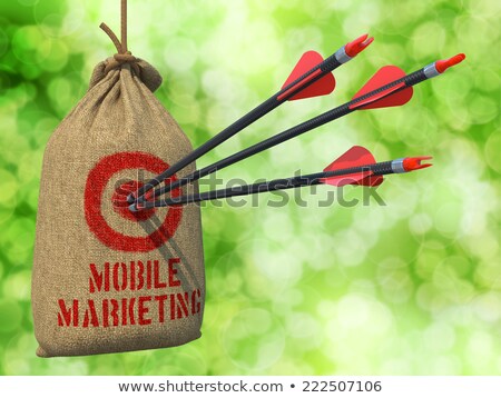 Foto stock: Mobile Marketing - Arrows Hit In Red Target