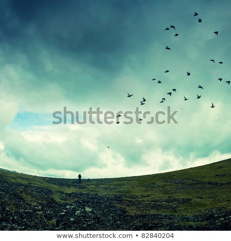 Stock fotó: Wild Weather Storm Clouds Ocean