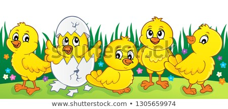 [[stock_photo]]: Cute Chickens Topic Image 2