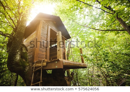 Foto stock: Tree House